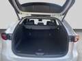 Mazda CX-60 3.3L e-SKYACTIV D AWD HOMURA Aut. Weiß - thumbnail 8