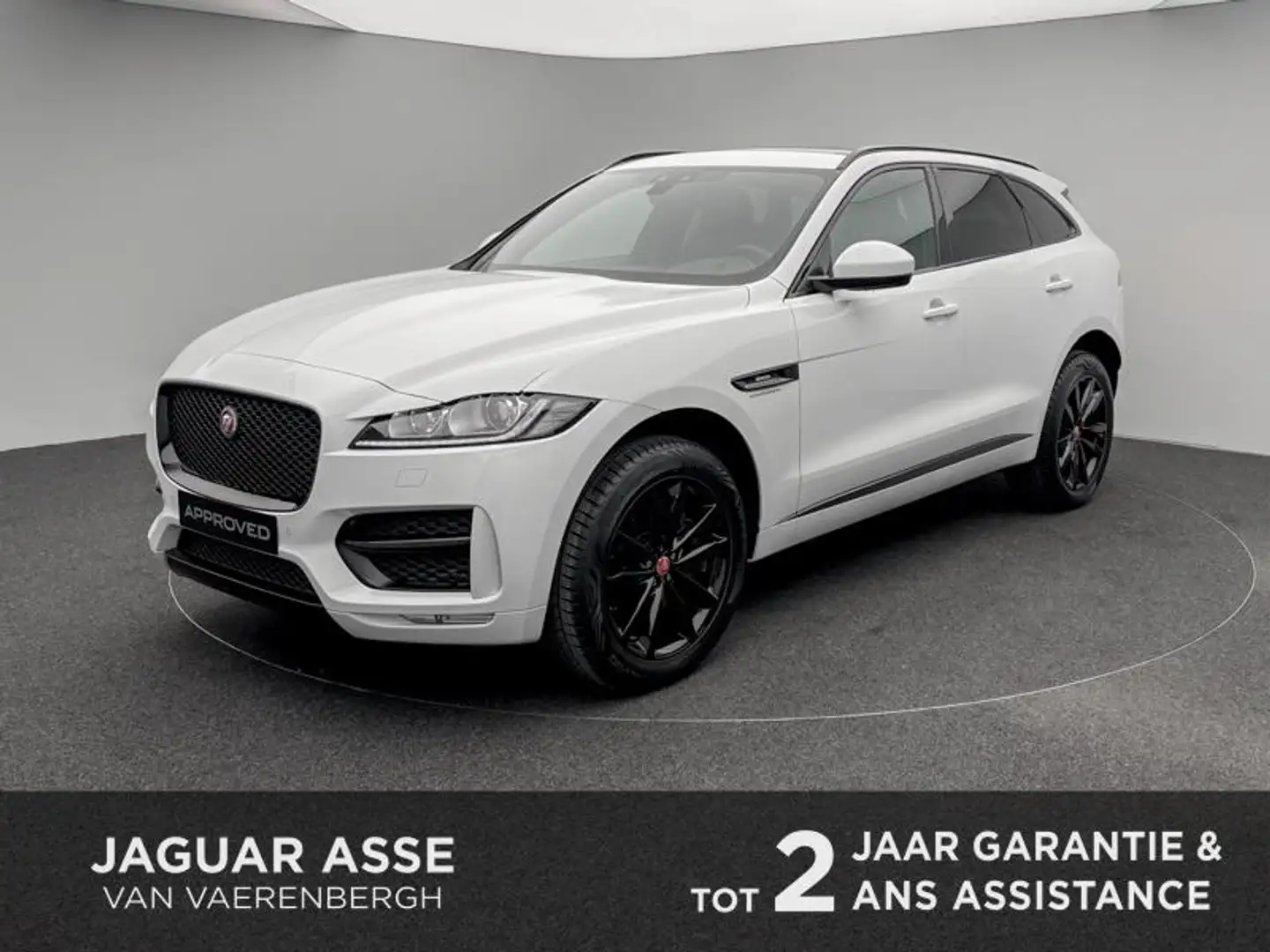 Jaguar F-Pace P250 25t Sport AWD Blanc - 1