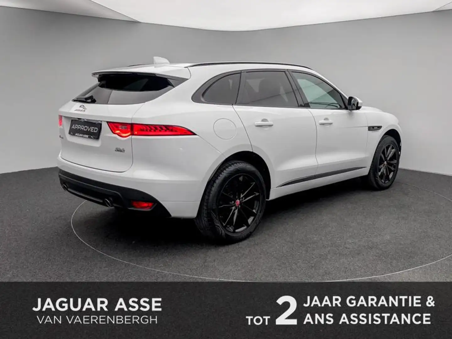 Jaguar F-Pace P250 25t Sport AWD Blanc - 2