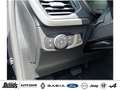 Ford Focus Turnier 1.0 EcoBoost Hybrid Aut. TITANIUM SYNC 4 Schwarz - thumbnail 17