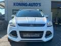 Ford Kuga 1.6 Titanium/ Pano/ Read Text/ EXPORT Wit - thumbnail 5