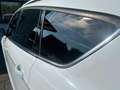 Ford Kuga 1.6 Titanium/ Pano/ Read Text/ EXPORT Wit - thumbnail 21