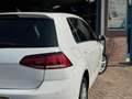 Volkswagen Golf 1.0 TSI Comfortline 2019 NAVI CLIMA APK NAP! Blanc - thumbnail 8