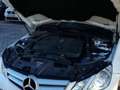 Mercedes-Benz E 250 Coupé CDI Blue Efficiency Avantg. Blanco - thumbnail 12