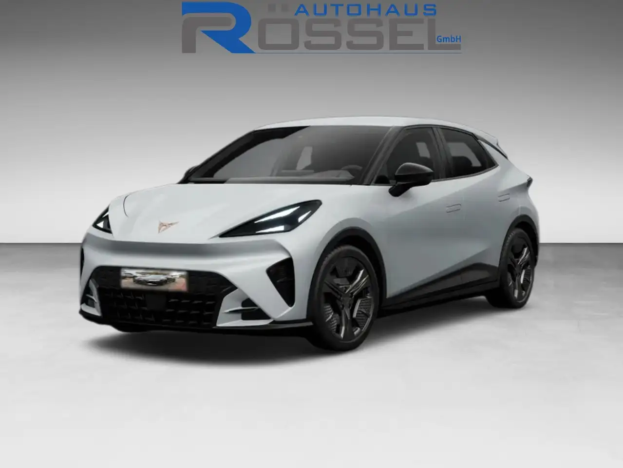 Cupra Raval
