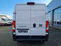 Fiat Ducato 35 Kasten Doka 6-Sitze L3H2 AG KLIMA Navi Weiß - thumbnail 20