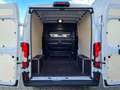 Fiat Ducato 35 Kasten Doka 6-Sitze L3H2 AG KLIMA Navi Weiß - thumbnail 22