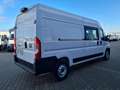 Fiat Ducato 35 Kasten Doka 6-Sitze L3H2 AG KLIMA Navi Weiß - thumbnail 4