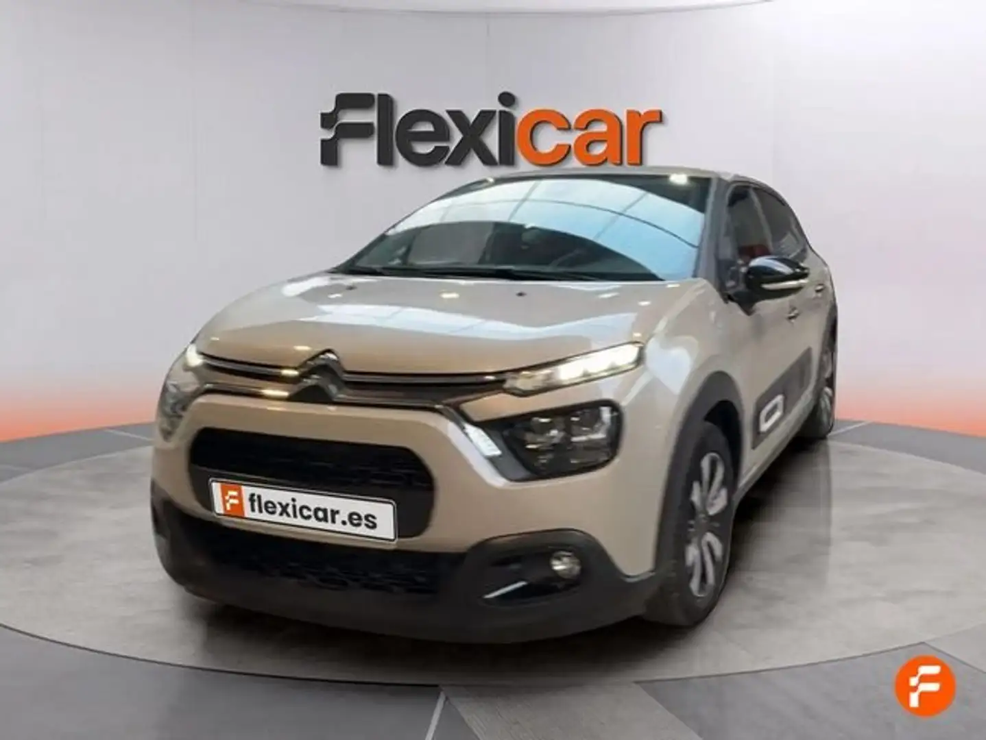 Citroen C3 PureTech 100 You Gris - 2