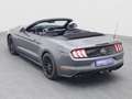 Ford Mustang GT Cabrio V8 450PS Aut./Premium 2 Grau - thumbnail 31