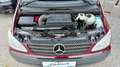 Mercedes-Benz Vito Extralang 9 sitze  Klima Sitz Heizung Tempomat Rot - thumbnail 18