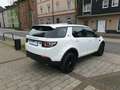 Land Rover Discovery Sport Pure*1.HAND*KLIMA*4X4* Blanc - thumbnail 5