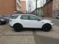 Land Rover Discovery Sport Pure*1.HAND*KLIMA*4X4* Weiß - thumbnail 6