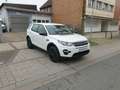 Land Rover Discovery Sport Pure*1.HAND*KLIMA*4X4* Bianco - thumbnail 7
