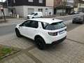 Land Rover Discovery Sport Pure*1.HAND*KLIMA*4X4* Weiß - thumbnail 9
