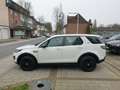 Land Rover Discovery Sport Pure*1.HAND*KLIMA*4X4* Bianco - thumbnail 2