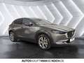 Mazda CX-30 5WGN 2.5L e-SKYACTIV G 140ps 6MT Exclusiv Grau - thumbnail 6
