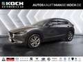 Mazda CX-30 5WGN 2.5L e-SKYACTIV G 140ps 6MT Exclusiv Grau - thumbnail 1