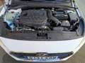 Hyundai i30 CW 1.6CRDi Go 116 Blanco - thumbnail 28