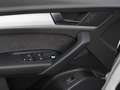 Audi Q5 40 2.0 tfsi mhev 12V S line quattro s-tronic White - thumbnail 9