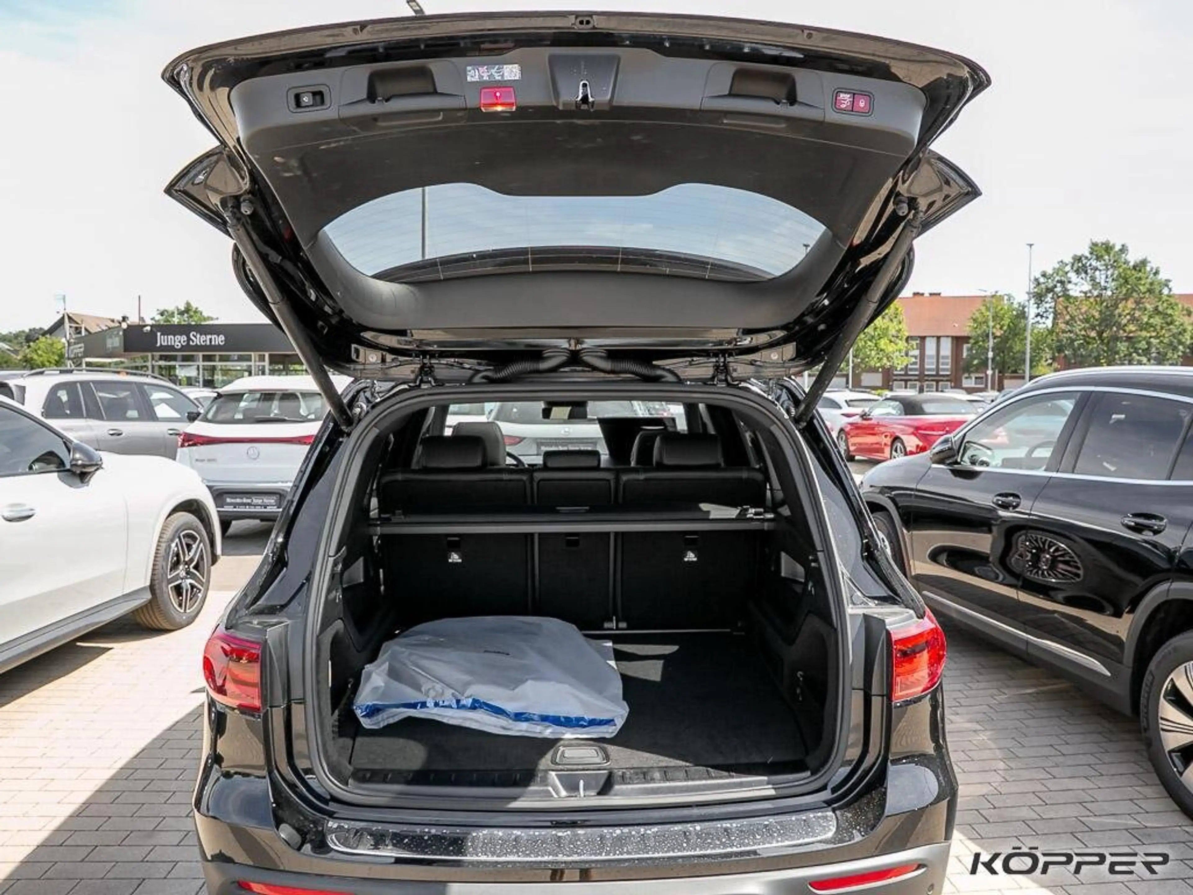 Mercedes-Benz EQB 300 4M Progr. Advanced PLUS AHK Pano 20 AMG — photo 10