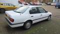 Nissan Primera Primera 1.6 SLX Blanco - thumbnail 5