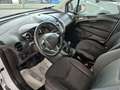 Ford Transit Courier Trend 1.5 TDCi EU6d Klima DAB Bianco - thumbnail 11