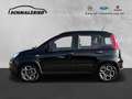 Fiat Panda City Life 1.0 Mild Hybrid DAB Berganfahrass. Klima Schwarz - thumbnail 2