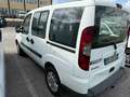 Fiat Doblo Bianco - thumbnail 5