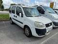 Fiat Doblo Bianco - thumbnail 2