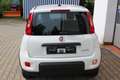 Fiat Panda HYBRID 1,0 Hybrid, Tech-Paket - Radio mit 7"-Bi... Blanco - thumbnail 5