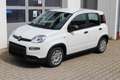 Fiat Panda HYBRID 1,0 Hybrid, Tech-Paket - Radio mit 7"-Bi... Bianco - thumbnail 1