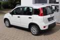 Fiat Panda HYBRID 1,0 Hybrid, Tech-Paket - Radio mit 7"-Bi... Bianco - thumbnail 4