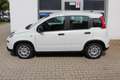 Fiat Panda HYBRID 1,0 Hybrid, Tech-Paket - Radio mit 7"-Bi... Wit - thumbnail 3