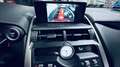 Lexus NX 300 300h Business Navigation 2WD Paars - thumbnail 39
