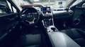 Lexus NX 300 300h Business Navigation 2WD Paars - thumbnail 31