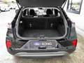 Ford Puma Titanium Design NAVI+Winter-Paket+ParkPilot Klima Schwarz - thumbnail 9