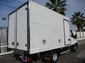 Iveco Daily 35C15 3000 150CV E5 FRIGO ATP FRCX 03/2028 7PEDANE Blanc - thumbnail 6