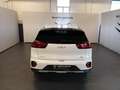 Kia Niro 1.6 GDi DCT PHEV Style Bianco - thumbnail 5