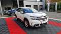Citroen C5 Aircross bluehdi 130 ss eat8 business Blanc - thumbnail 3