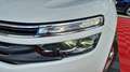 Citroen C5 Aircross bluehdi 130 ss eat8 business Blanc - thumbnail 34