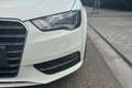 Audi A3 A3 1.6 TDI Ambition Blanco - thumbnail 9