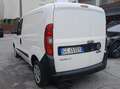 Fiat Doblo Doblo cargo 1.6 mjt 105cv CH1 Wit - thumbnail 5