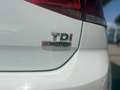 Volkswagen Golf 1.6 TDI 110 CV 5p. 4MOTION Executive BlueMotion Te Blanc - thumbnail 16