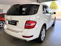 Mercedes-Benz ML 350 ML350 Sportpaket Navi+Camera/SD/H-K/Bi-Xenon/AHK Weiß - thumbnail 7
