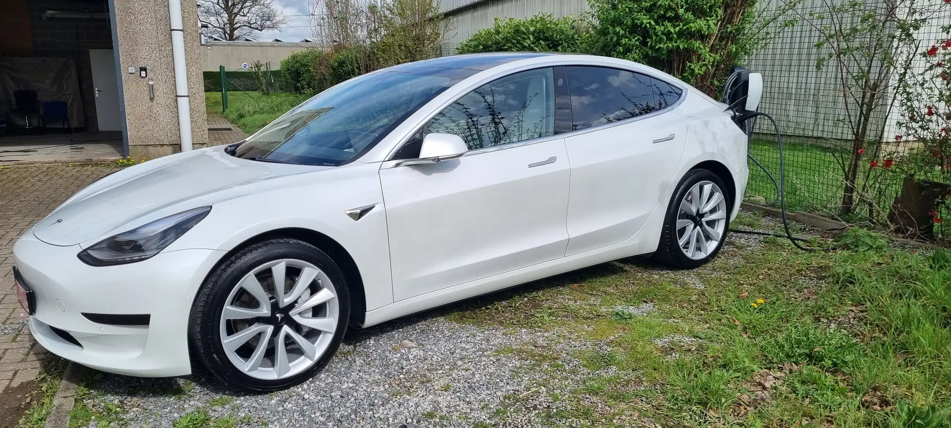 Tesla Model 3 44 kWh Standard Plus Blanc - 2