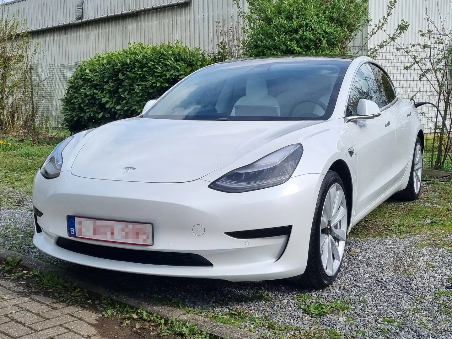 Tesla Model 3 44 kWh Standard Plus Wit - 1