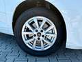 Ford Tourneo Connect 1.5 EcoBoost 16 Zoll Weiß - thumbnail 13