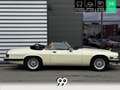 Jaguar XJS Cabriolet 5.3i V12 - BVA CABRIOLET . PHASE 2 Weiß - thumbnail 6
