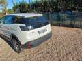 Peugeot 3008 1,5 BLUEHDI 130 CV EA8 ACTIVE BUSINESS AUTOMATIC Bianco - thumbnail 4